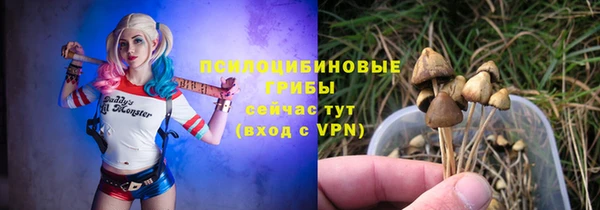 спайс Балабаново