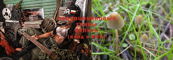 прущий лед Армянск