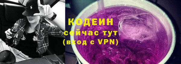 гидра Арсеньев