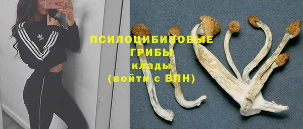 гидра Арсеньев