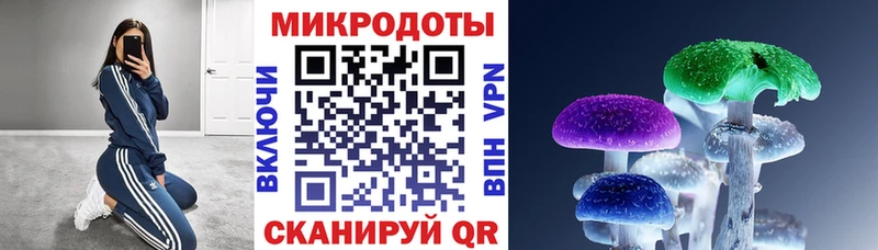 Псилоцибиновые грибы мухоморы  что такое   Гатчина 